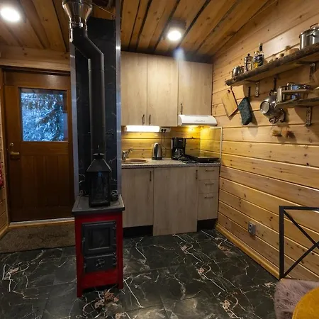 Rock House, Saimaa בקתה Savitaipale
